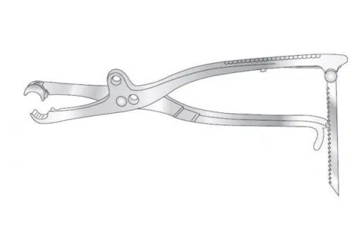 LAMBOTTE BONE HOLDING FORCEPS