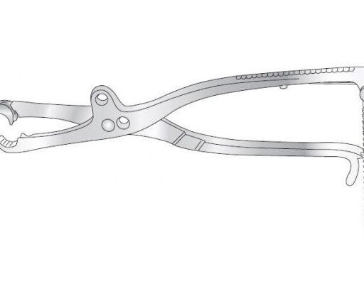 LAMBOTTE BONE HOLDING FORCEPS