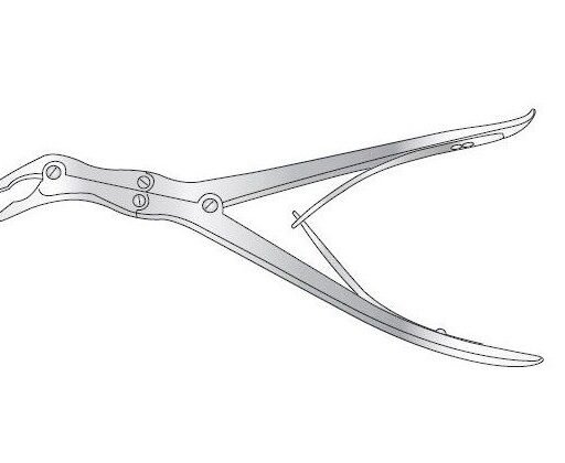 ECHLIN COMPOUND ACTION BONE RONGUER
