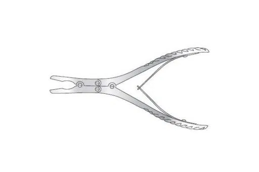 LUER BOX JOINT BONE RONGUER