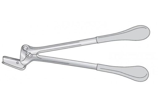 SWEDISH PATTERN PLASTER SHEARS