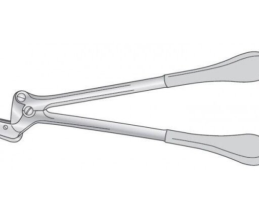 SWEDISH PATTERN PLASTER SHEARS