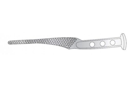 AUSTIN MOORE HIP RASP WITH TOMMY BAR