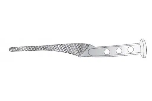 AUSTIN MOORE HIP RASP WITH TOMMY BAR