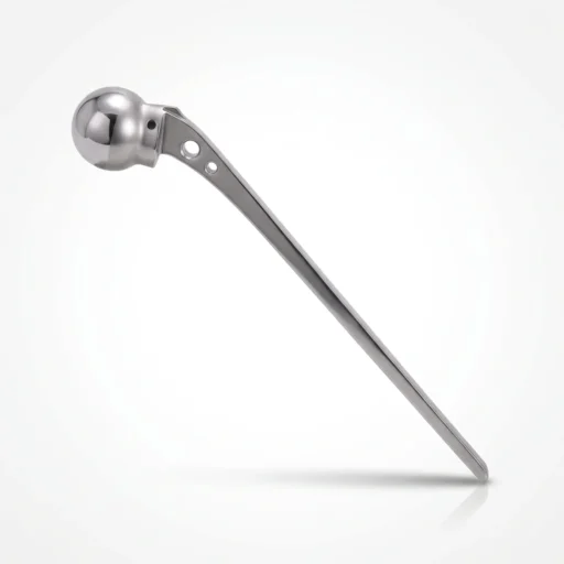 Austin Moore Hip Prosthesis Long Stem showing polished femoral head and fenestrated intramedullary stem