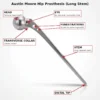 Labeled diagram of Austin Moore Hip Prosthesis Long Stem identifying the femoral head, transverse collar, eye hole, fenestrations, long tapered stem, and distal tip
