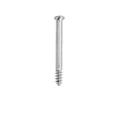 Cancellous Screw (16TH) 6.5mm - Orthopedic Fixation Solution