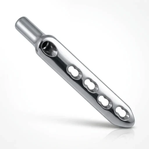 DHS Locking Plate in silver finish