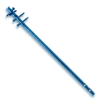 Expert Tibia Nail in blue, a long blue metal rod with several blue screws at the upper end and holes near the lower tip