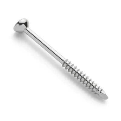 Malleolar Screw with smooth shaft, rounded head, and partially threaded tip, shown in silver metallic finish