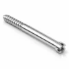 PFN Bolt Cannulated