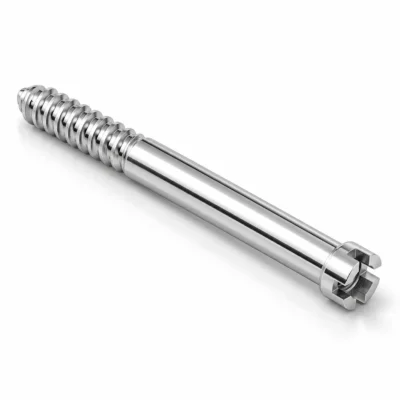 PFN Bolt Cannulated