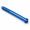 Blue PFN Bolt Cannulated