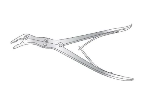 ECHLIN COMPOUND ACTION BONE RONGUER