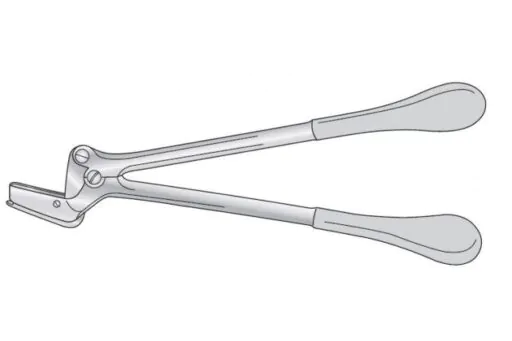 SWEDISH PATTERN PLASTER SHEARS