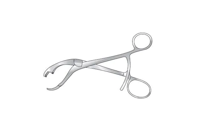 VERBRUGGE BONE HOLDING FORCEPS